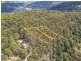 1916 Springbrook Road, Springbrook QLD 4213