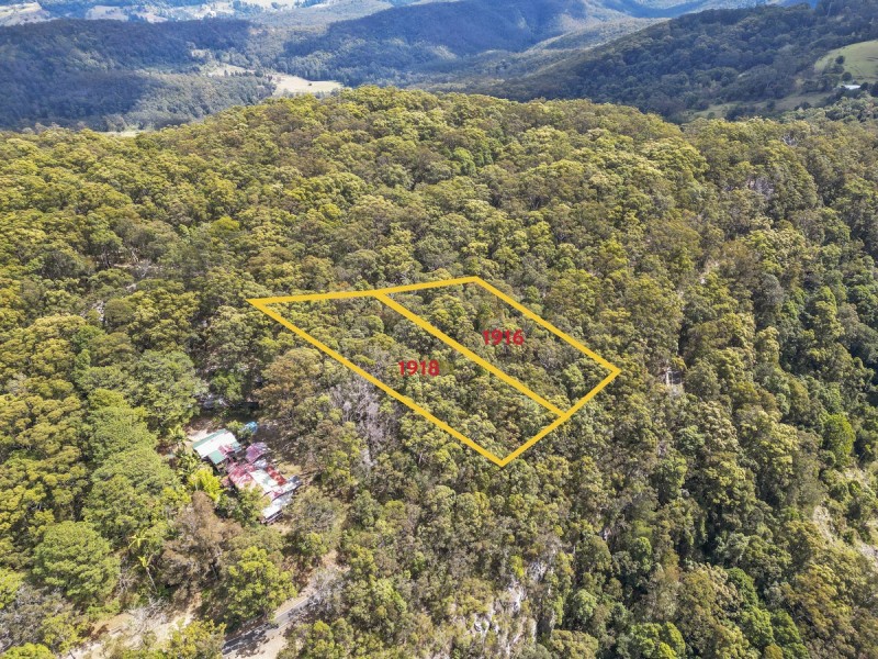 1916 Springbrook Road, Springbrook QLD 4213