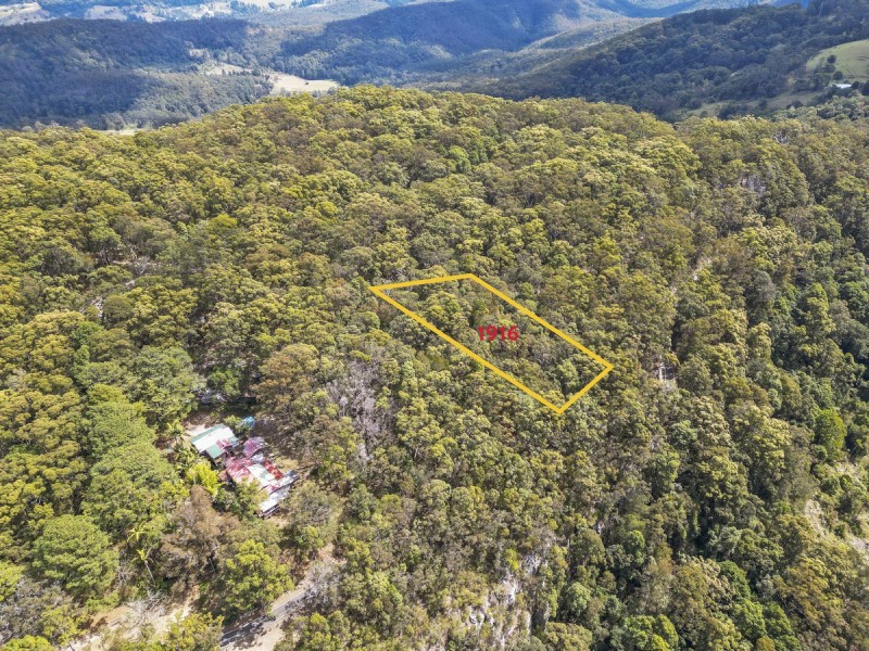 1916 Springbrook Road, Springbrook QLD 4213