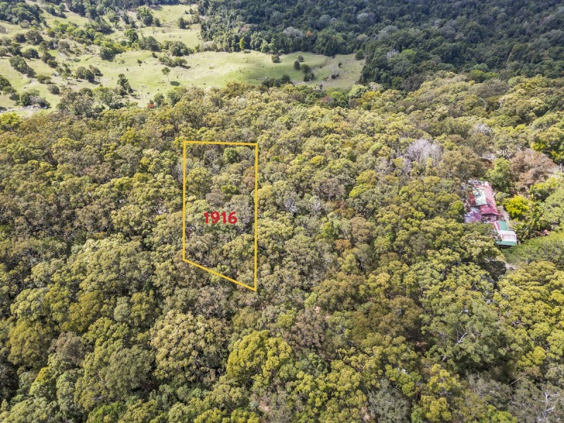 1916 Springbrook Road, Springbrook QLD 4213