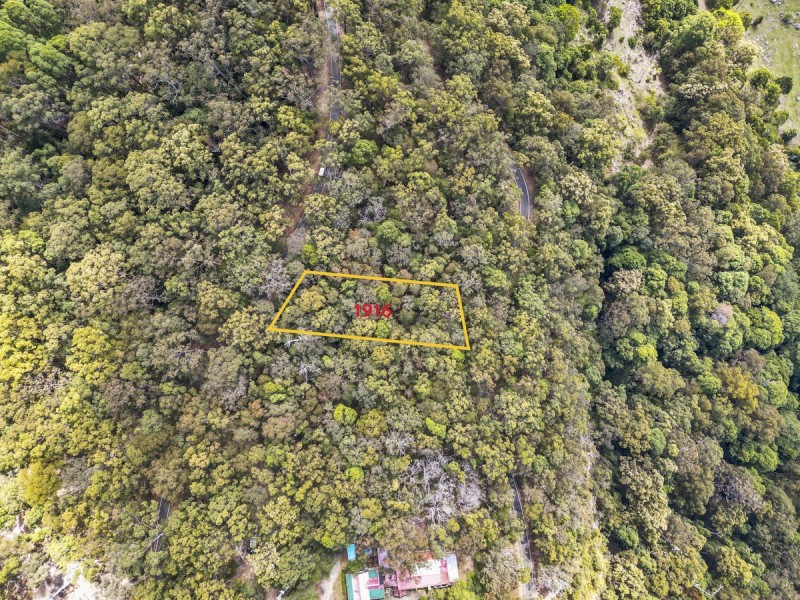 1916 Springbrook Road, Springbrook QLD 4213