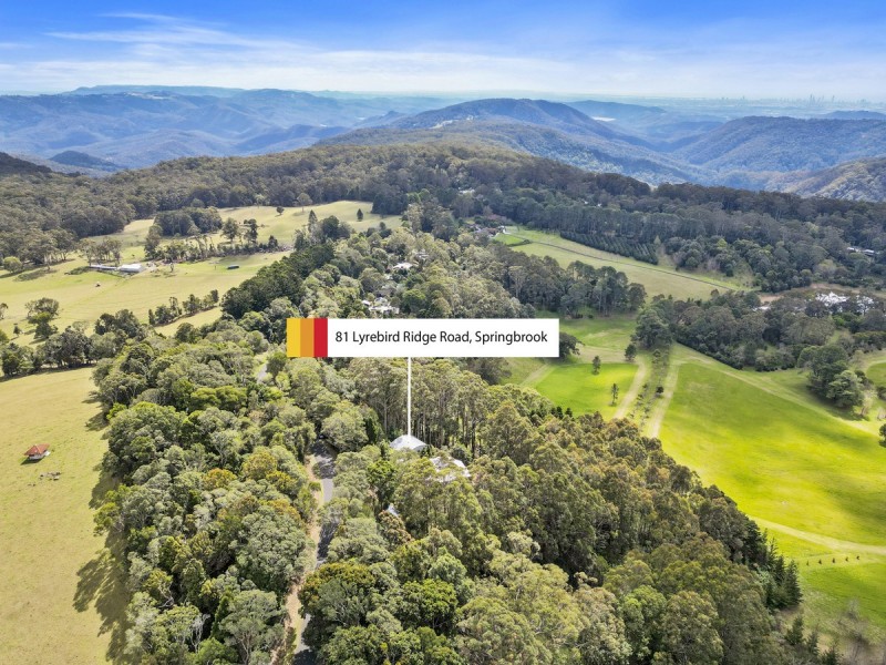 81 Lyrebird Ridge Road, Springbrook QLD 4213