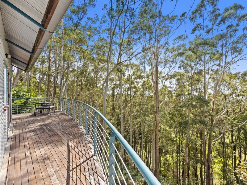 81 Lyrebird Ridge Road, Springbrook QLD 4213