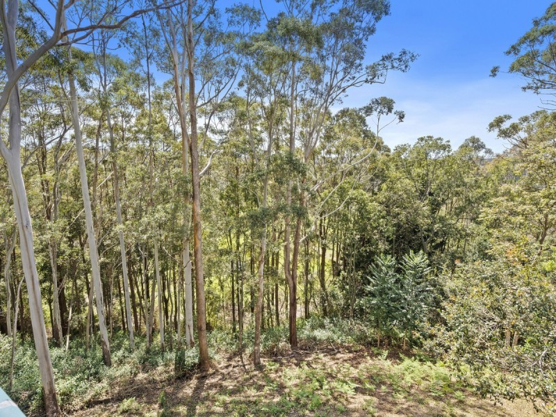 81 Lyrebird Ridge Road, Springbrook QLD 4213