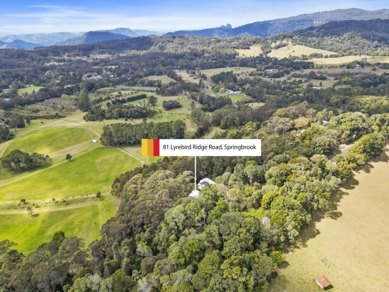 81 Lyrebird Ridge Road, Springbrook QLD 4213