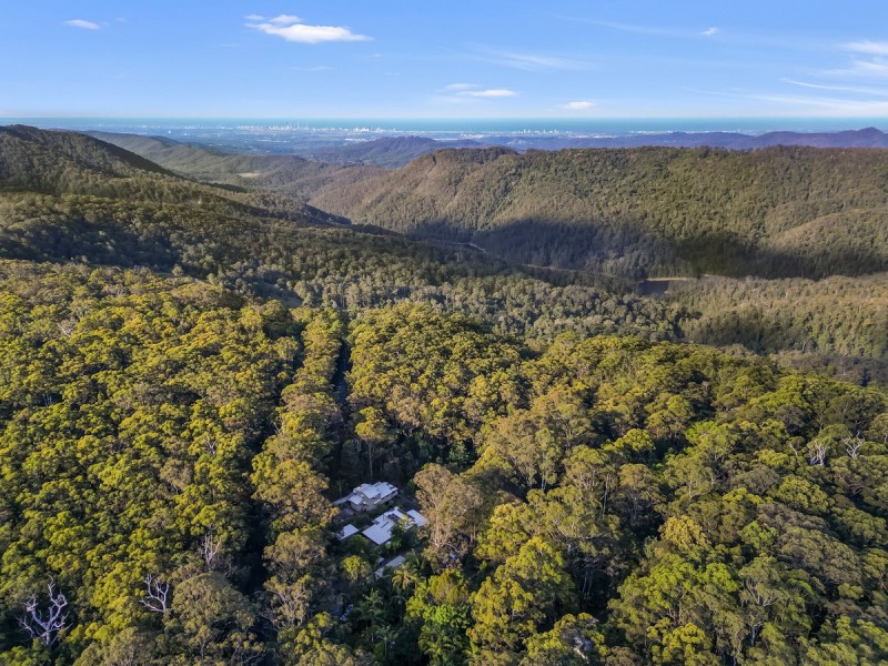 1949 Springbrook Road, Springbrook QLD 4213