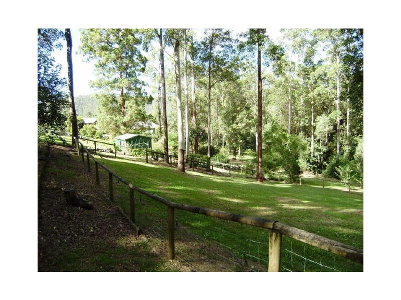 14 Newlands Court, Mount Nathan QLD 4211