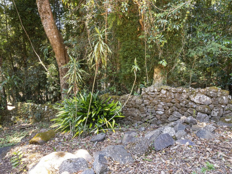 76 Repeater Station Road, Springbrook QLD 4213