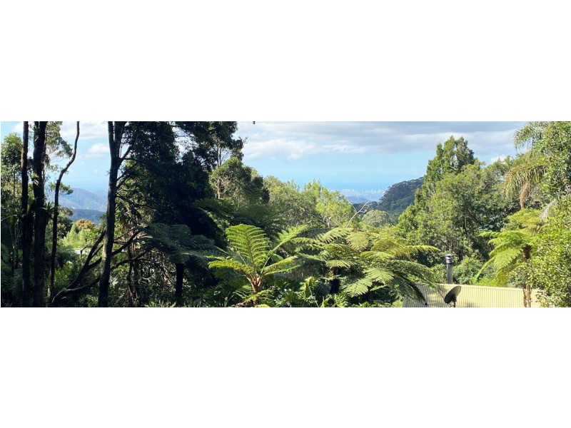 76 Repeater Station Road, Springbrook QLD 4213