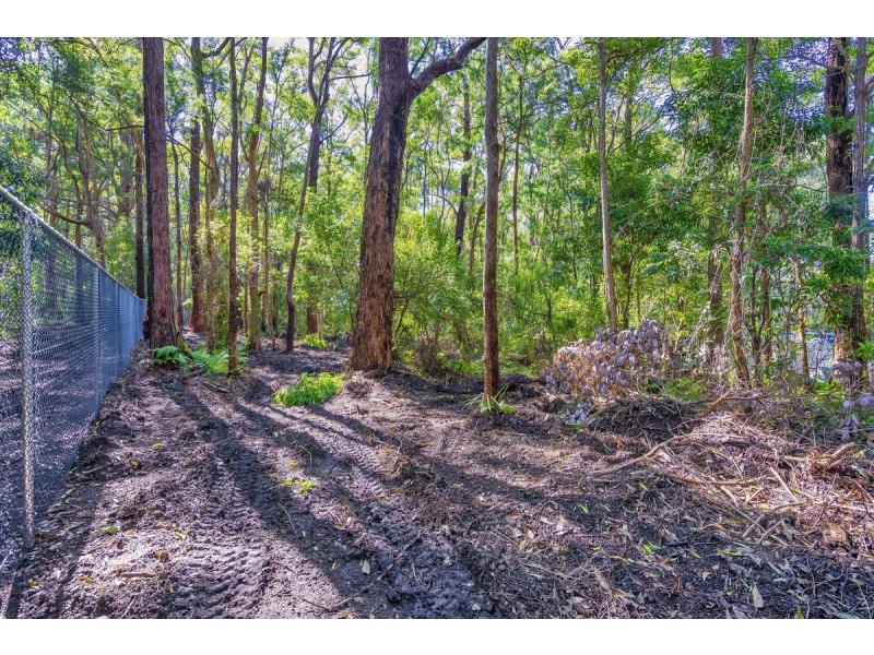 1922 Springbrook Road, Springbrook QLD 4213