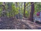 1922 Springbrook Road, Springbrook QLD 4213