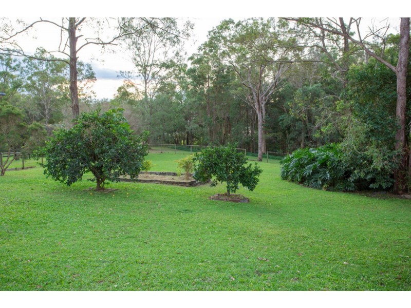 55 Winderadeen Drive, Highland Park QLD 4211