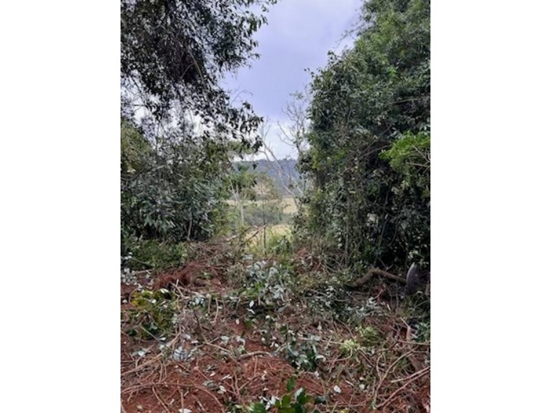 2481 Springbrook Road, Springbrook QLD 4213