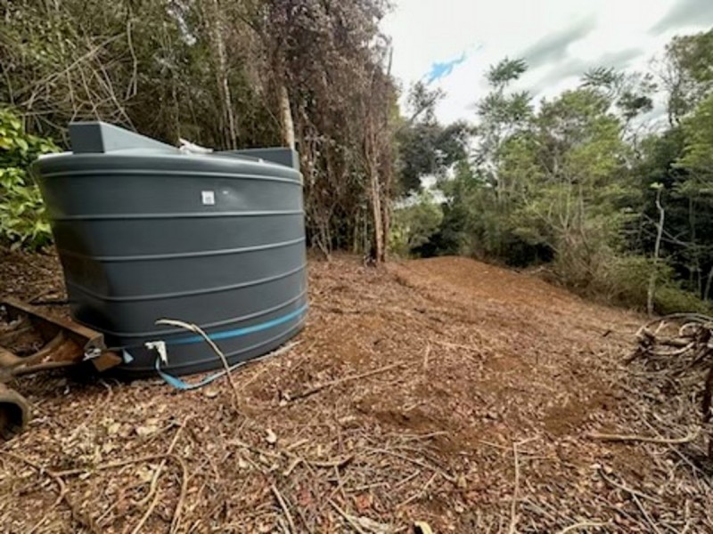 2481 Springbrook Road, Springbrook QLD 4213