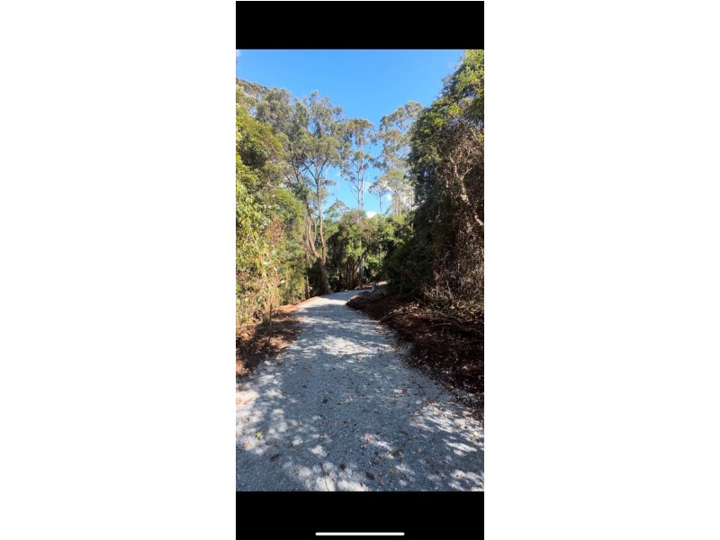 2481 Springbrook Road, Springbrook QLD 4213