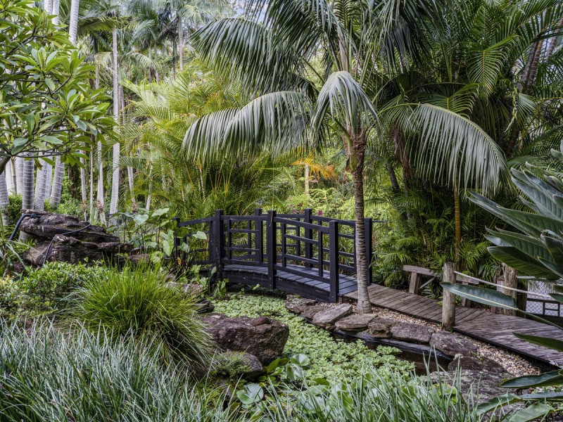 3 Donilla Place, Nerang QLD 4211