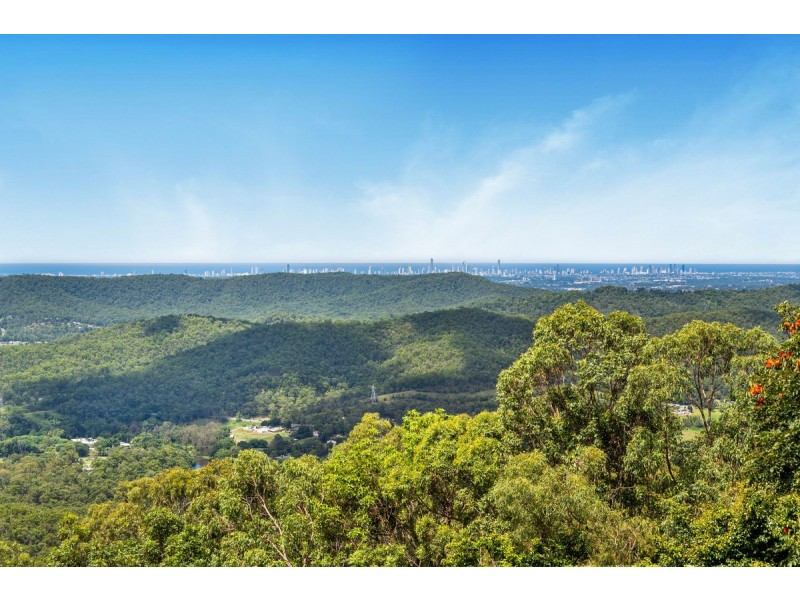 31 Macrozamia Drive, Clagiraba QLD 4211