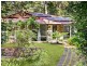 6 Mimosa Road, Springbrook QLD 4213