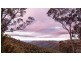 2209 Springbrook Road, Springbrook QLD 4213