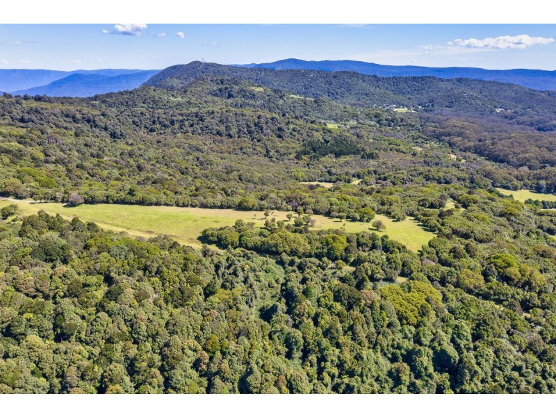 3000 Springbrook Road, Springbrook QLD 4213