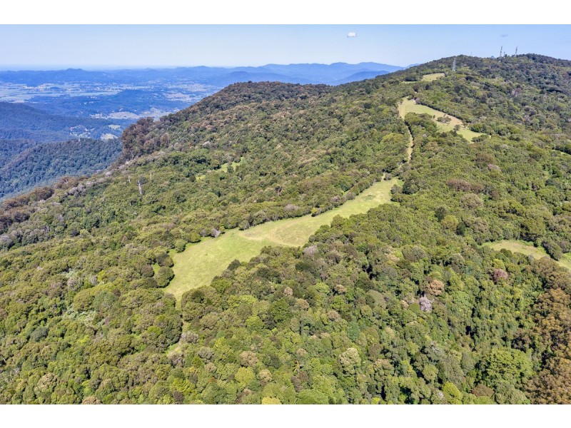 3000 Springbrook Road, Springbrook QLD 4213