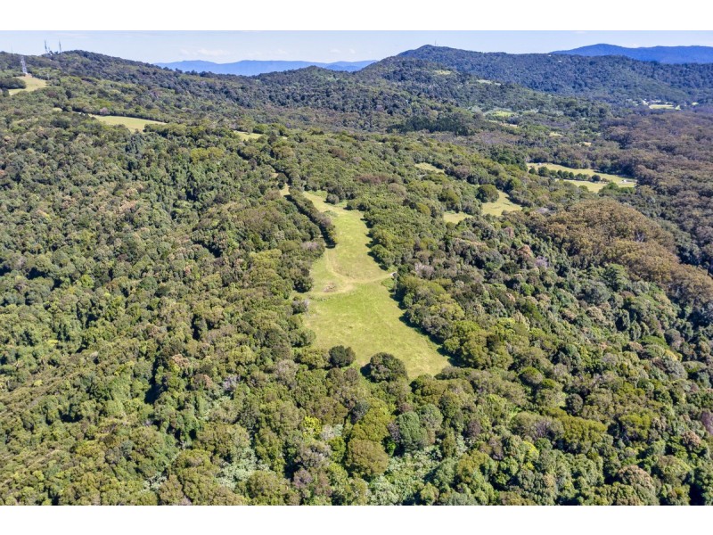 3000 Springbrook Road, Springbrook QLD 4213