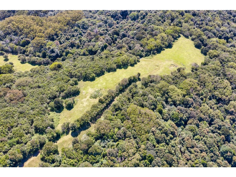 3000 Springbrook Road, Springbrook QLD 4213