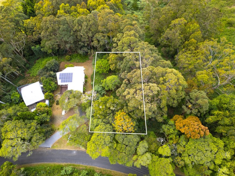 85 Lyrebird Ridge Road, Springbrook QLD 4213