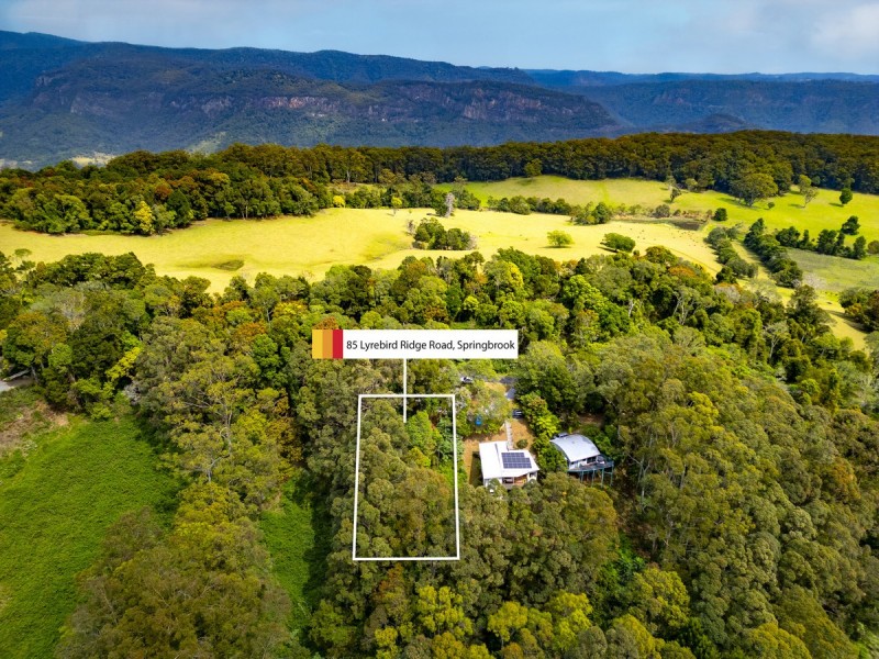 85 Lyrebird Ridge Road, Springbrook QLD 4213