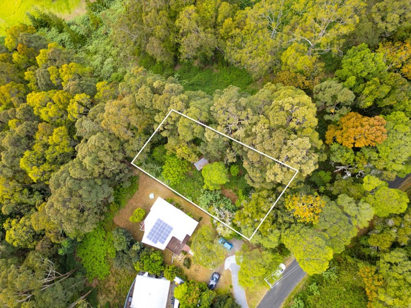 85 Lyrebird Ridge Road, Springbrook QLD 4213