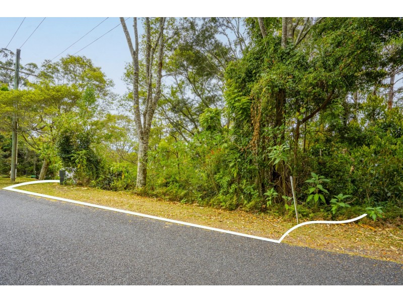 85 Lyrebird Ridge Road, Springbrook QLD 4213