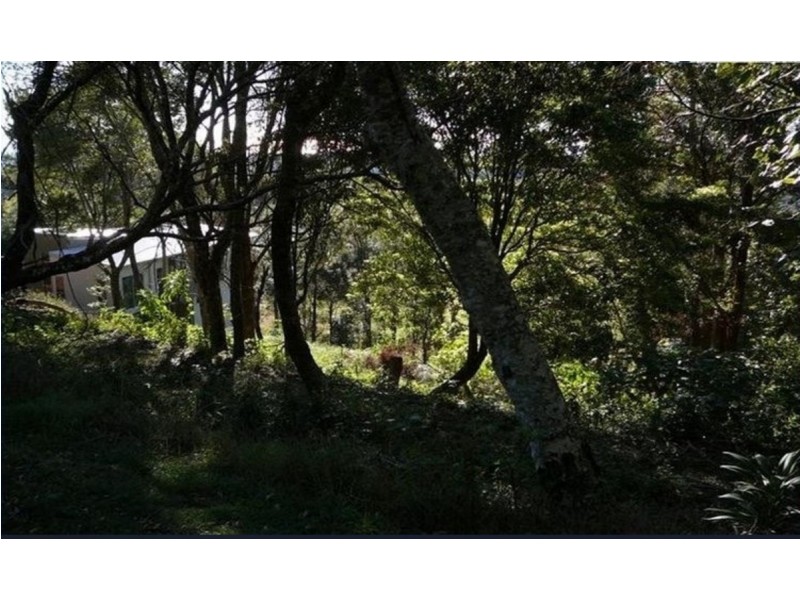 85 Lyrebird Ridge Road, Springbrook QLD 4213