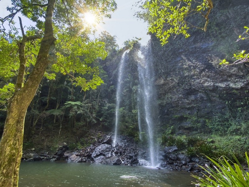 33-35 Banksia Road, Springbrook QLD 4213