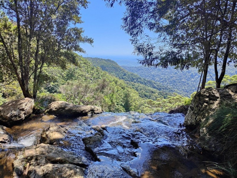 33-35 Banksia Road, Springbrook QLD 4213