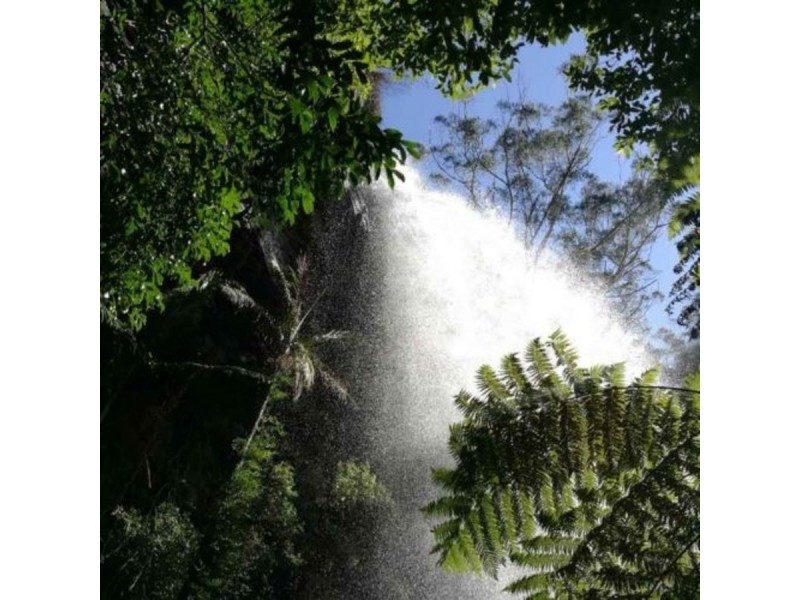 33-35 Banksia Road, Springbrook QLD 4213