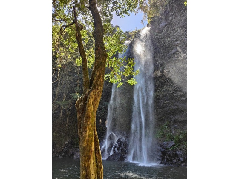 33-35 Banksia Road, Springbrook QLD 4213