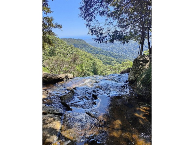 33-35 Banksia Road, Springbrook QLD 4213