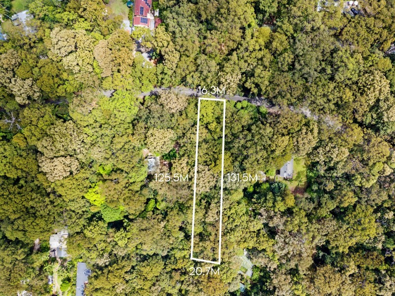 2195 Springbrook Road, Springbrook QLD 4213