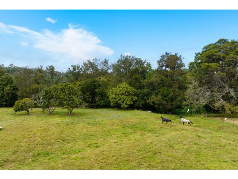 37 Mark Way, Mudgeeraba QLD 4213