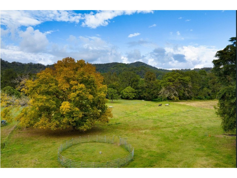 37 Mark Way, Mudgeeraba QLD 4213