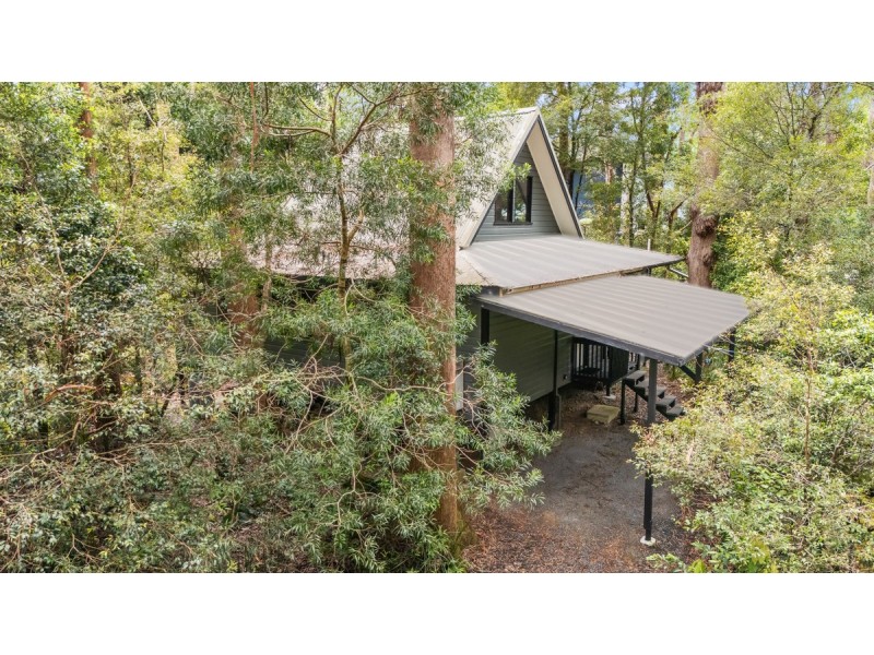 17 Banksia Road, Springbrook QLD 4213
