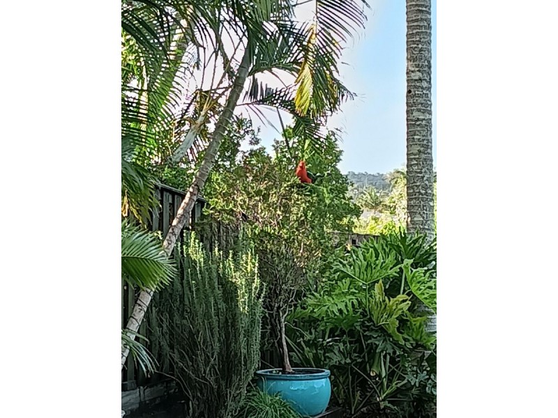 3 Wilton Close, Mudgeeraba QLD 4213