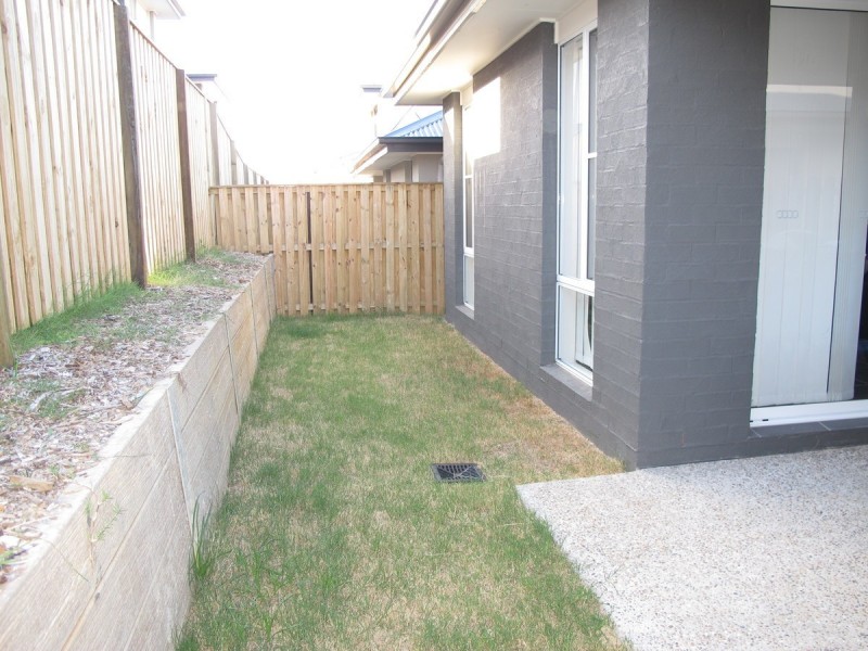 12 Babinda Street, Coomera QLD 4209