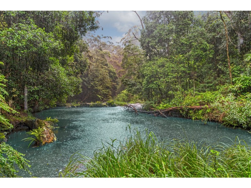 35 Lloyds Road, Springbrook QLD 4213