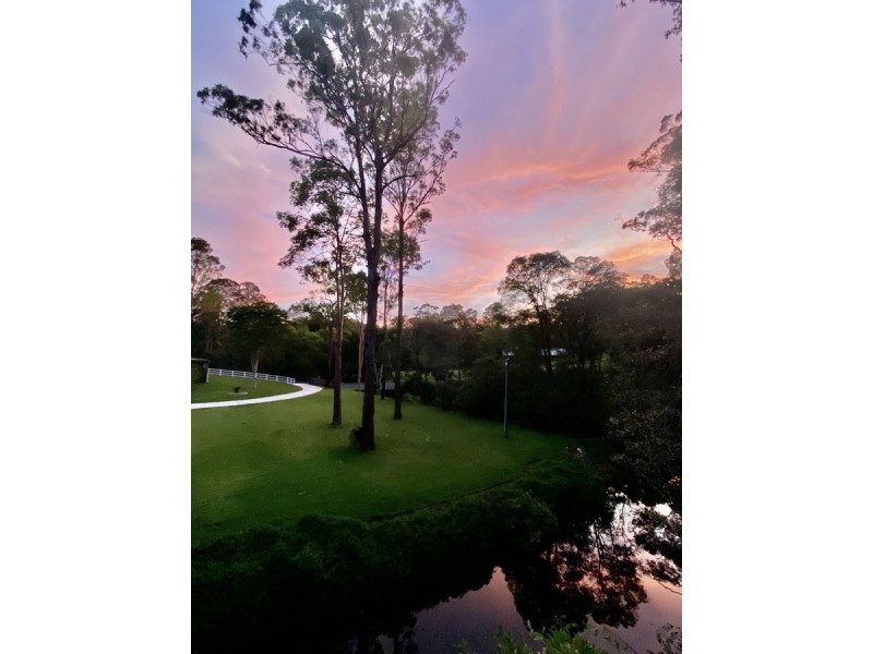 57 Birdlife Court, Nerang QLD 4211