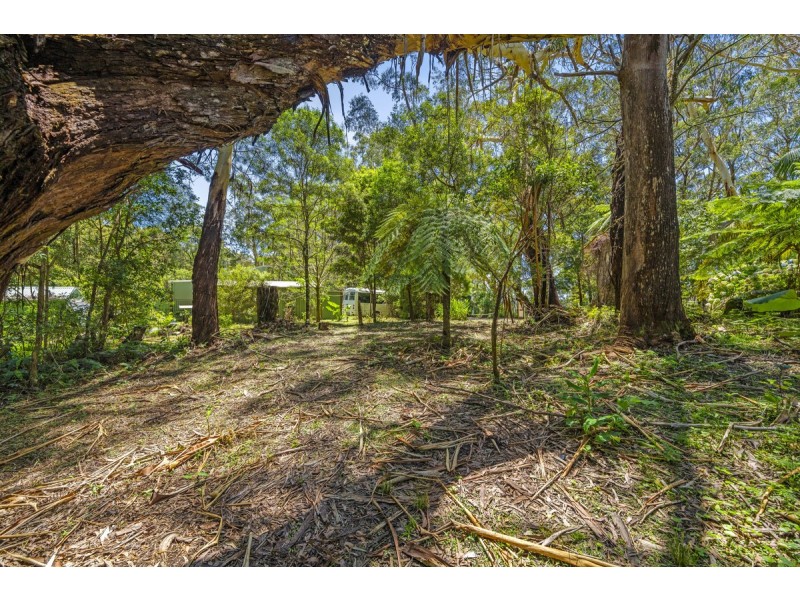14 Canyon Parade, Springbrook QLD 4213