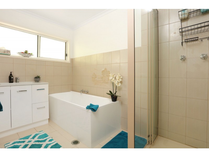 41 Lyrebird Ridge Road, Springbrook QLD 4213