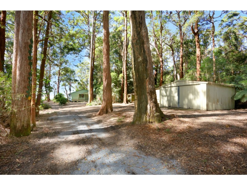 1961 Springbrook Road, Springbrook QLD 4213