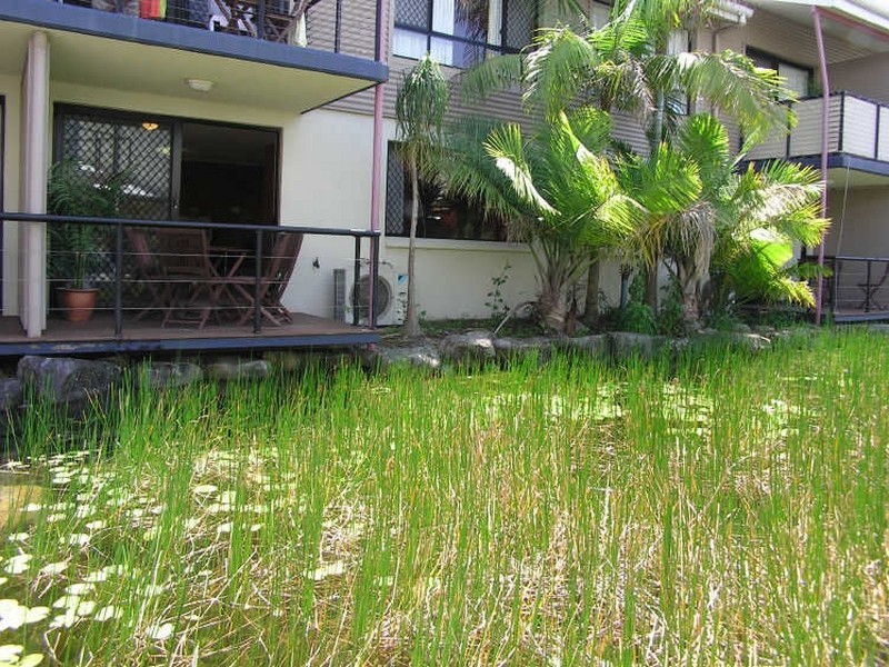 68/73 Hilton TCE, Noosaville QLD 4566