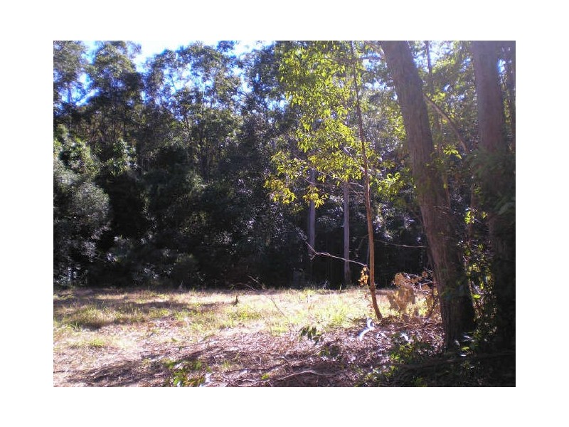 80 Pheasant La, Doonan QLD 4562